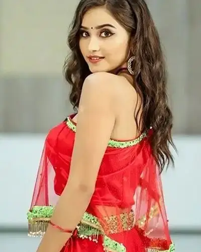 Call Girls Service Shirpur
